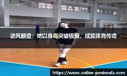 半岛·BOB官方网站